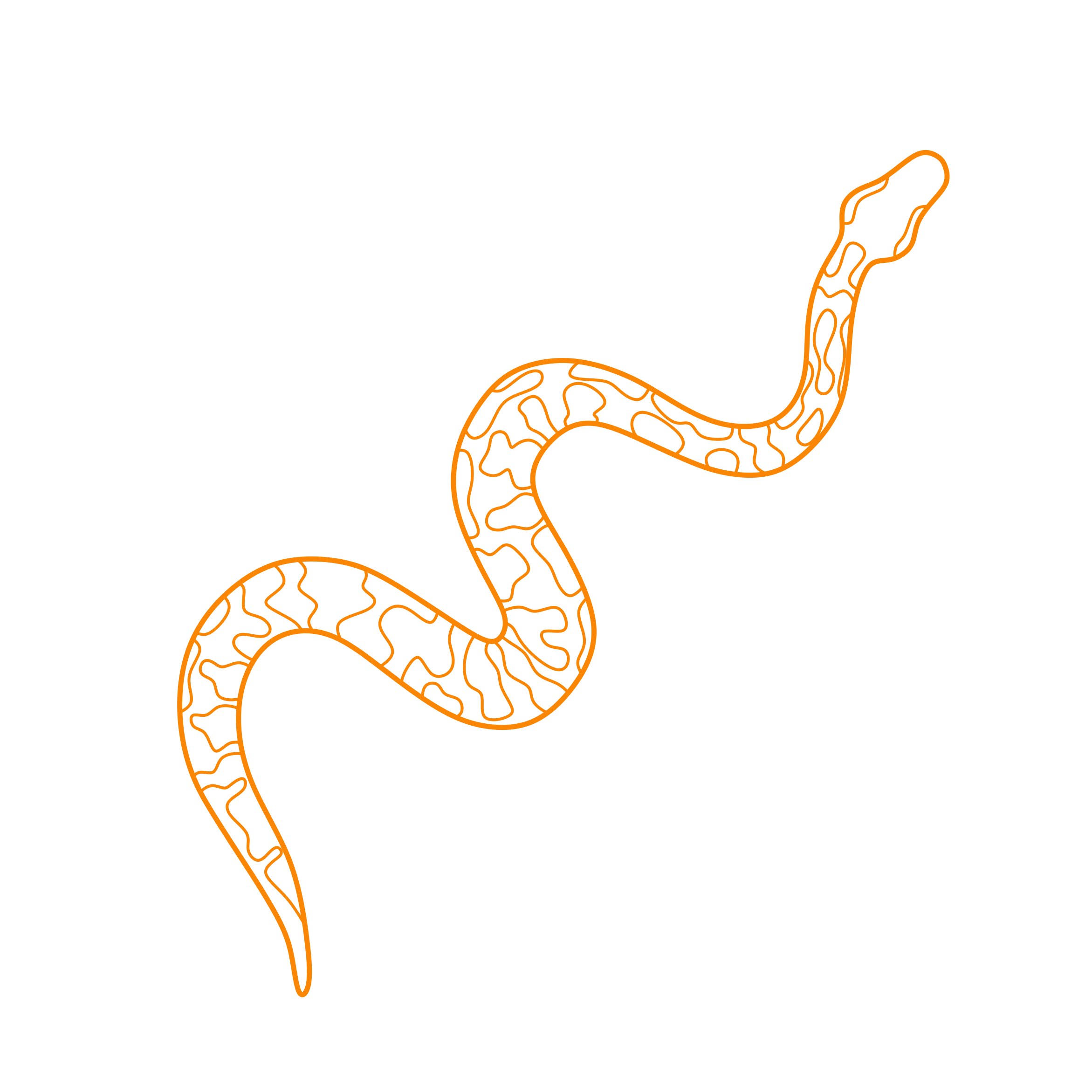 Animals Snakes Ball Python Digital Sketch Svg Design Free Vectors
